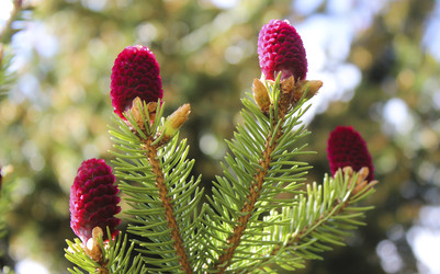 Similar image 22635589