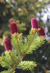 Similar image 22635590