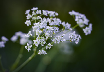 Similar image 22635591