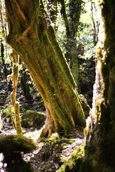 Similar image 22635592