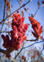 Similar image 22635593