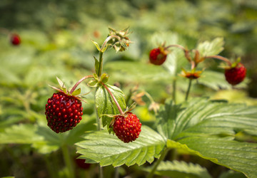 Similar image 22630411