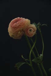 Similar image 22628048