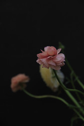 Similar image 22628049