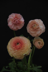 Similar image 22628050