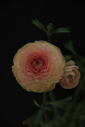 Similar image 22628051