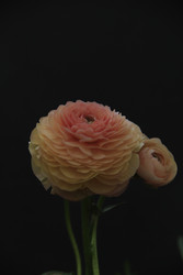 Similar image 22628053