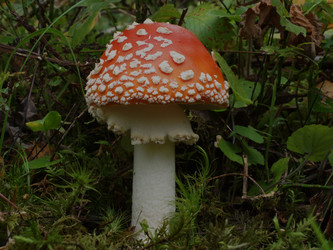 Similar image 22629514