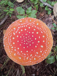 Similar image 22629516