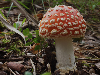 Similar image 22629517