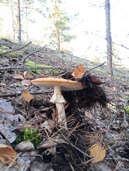 Similar image 22629518