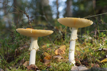 Similar image 22629530