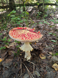 Similar image 22629531