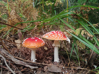 Similar image 22629533