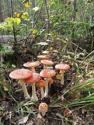 Similar image 22629534