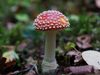 Similar image 22629536