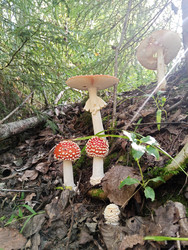 Similar image 22629537