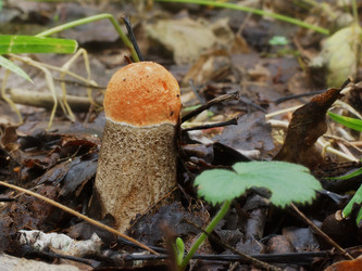 Similar image 22629538