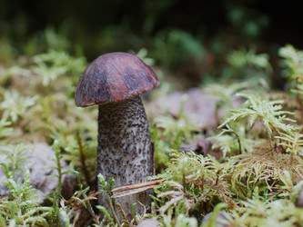 Similar image 22629539