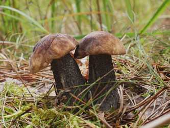 Similar image 22629540