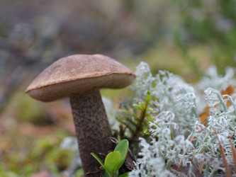 Similar image 22629543