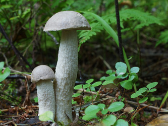 Similar image 22629486