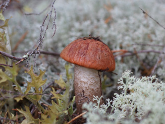 Similar image 22629487