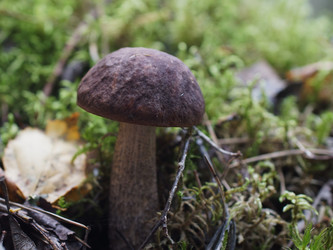 Similar image 22629488