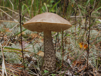 Similar image 22629489