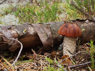 Similar image 22629490