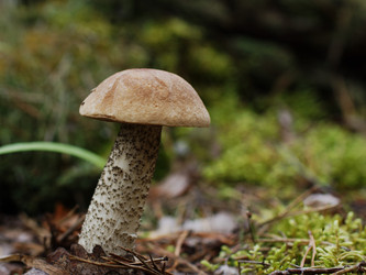 Similar image 22629491