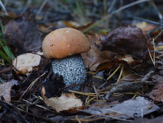 Similar image 22629499