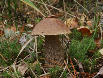 Similar image 22629500