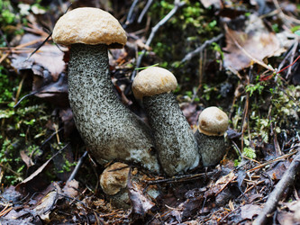 Similar image 22629501