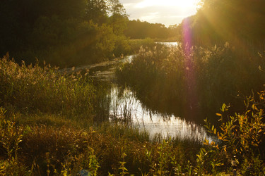 Similar image 22629558