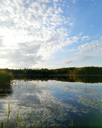 Similar image 22629492