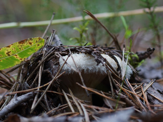 Similar image 22629494