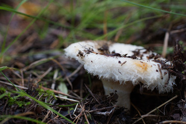 Similar image 22629495