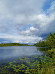 Similar image 22629496