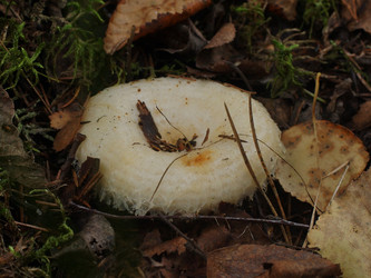 Similar image 22629497