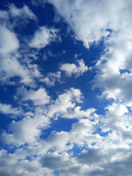 Similar image 22629503