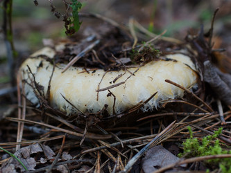 Similar image 22629505