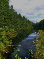 Similar image 22629506