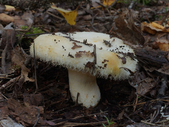 Similar image 22629507