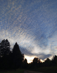 Similar image 22629508