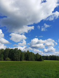 Similar image 22629509