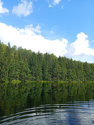 Similar image 22629510