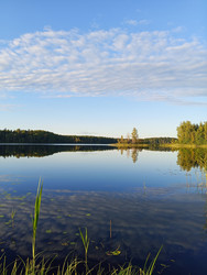 Similar image 22629511