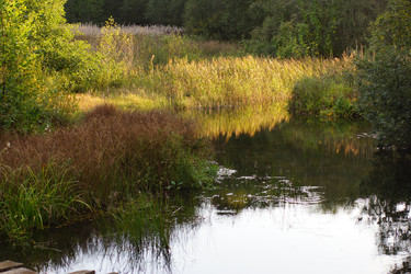 Similar image 22629519