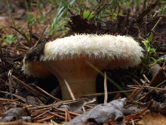 Similar image 22629521